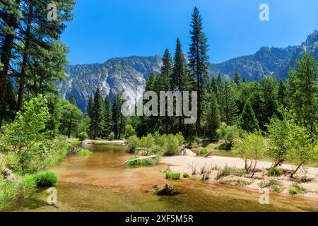 Splendida valle montana in estate nel parco nazionale di Yosemite, California Foto Stock