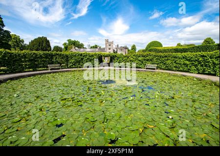 Laghetto Lilly a Levens Hall, Cumbria, Inghilterra, Regno Unito Foto Stock
