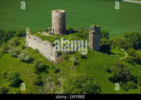 Vista aerea, castello di Desenberg su un cono vulcanico, vista storica, rovine di un castello in cima a una collina nel Warburg Börde, visitatori sulla piattaforma panoramica, Foto Stock