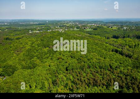 Vista aerea, area forestale di Ardeygebirge Borbachwald, Rüdinghausen, Witten, zona della Ruhr, Renania settentrionale-Vestfalia, Germania, foto aerea, Monti Ardey, Fo Foto Stock