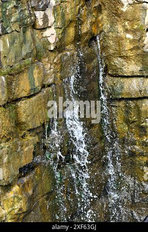 La diga di pietra, presso il sito storico di Thomas Amis, è la diga di pietra più antica del Tennessee. Le pareti della diga presentano infiltrazioni d'acqua e fuoriuscite da incrinature. Foto Stock