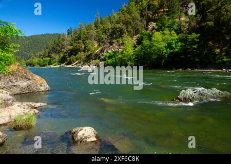 Trinity Wild e Scenic River dal Gray Falls Trail, Six Rivers National Forest, California Foto Stock