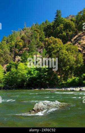 Trinity Wild e Scenic River dal Gray Falls Trail, Six Rivers National Forest, California Foto Stock