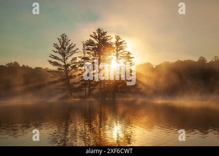 Piccola isola con nebbia di pini e un sole all'alba su un lago del Minnesota settentrionale durante l'estate Foto Stock