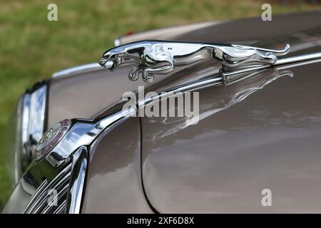 Berlina Jaguar Mark II da 3,8 litri, dettaglio ravvicinato della famosa mascotte saltellante sul cofano del gatto ridisegnata nel 1955 dal design originale di F. Gordon Crosby. Foto Stock