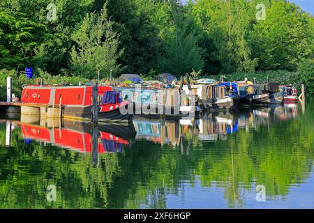 Barche strette ormeggiate, vicino a Caen Hill, Devizes, Wiltshire, Inghilterra. Estate 2024 giugno Foto Stock