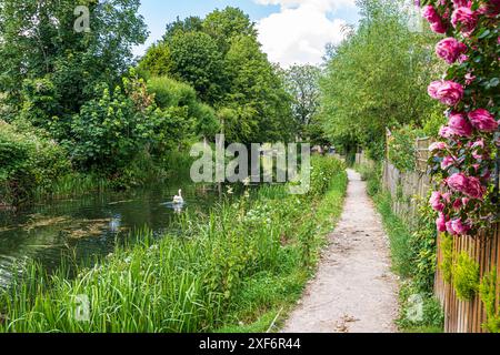 La navigazione Stroudwater presso Bowbridge Lock nelle Stroud Valleys, Gloucestershire, Inghilterra Regno Unito Foto Stock