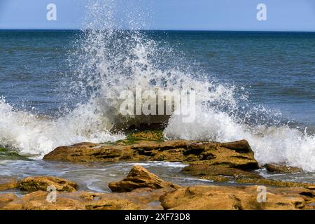 Onde che si infrangono sulla roccia coquina dell'Oceano Atlantico Foto Stock