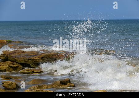 Onde che si infrangono sulla roccia coquina dell'Oceano Atlantico Foto Stock