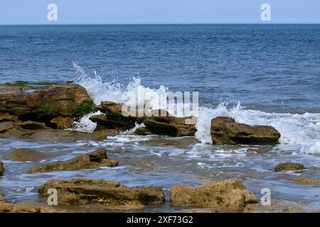 Onde che si infrangono sulla roccia coquina dell'Oceano Atlantico Foto Stock