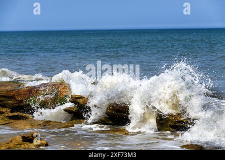 Onde che si infrangono sulla roccia coquina dell'Oceano Atlantico Foto Stock