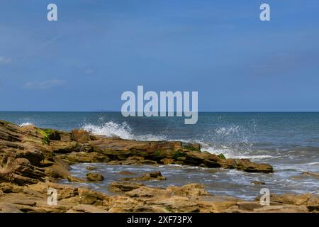 Onde che si infrangono sulla roccia coquina dell'Oceano Atlantico Foto Stock