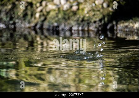 Una goccia cade in acqua. Foto Stock