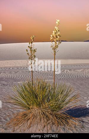 White Sands National Park Foto Stock