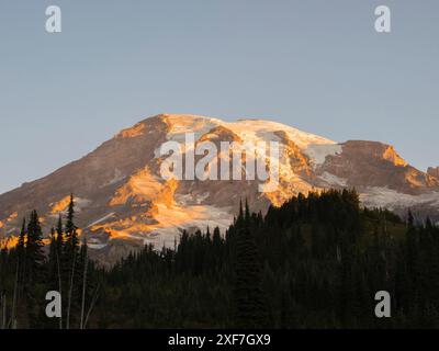 Washington, Mount Rainier National Park. Monte Rainier, vista dal Paradiso poco dopo l'alba Foto Stock