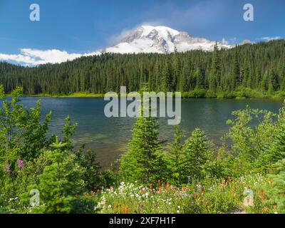 Washington, Mount Rainier National Park. Monte Rainier con fiori selvatici al lago Reflection Foto Stock