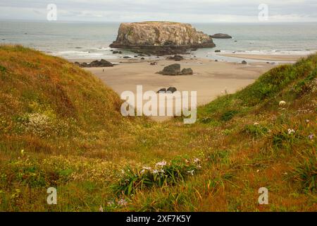 Table Rock view, Oregon Islands National Wildlife Refuge-Coquille Point Unit, Bandon, Oregon Foto Stock