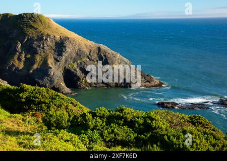 Vista da Headland Trail, Port Orford Heads State Park, Oregon Foto Stock