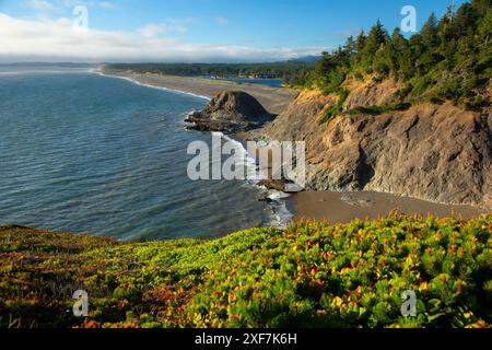 Agate Beach da Headland Trail, Port Orford Heads State Park, Oregon Foto Stock