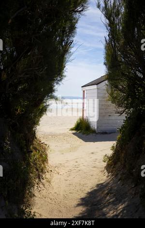 Sentiero per la capanna su Sandy Beach Foto Stock