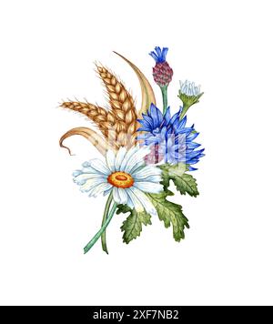 Fiori di mais blu, margherite e orecchie di fiore all'occhiello di grano illustrazione ad acquerello. Elemento di composizione botanica Wildflower isolato da backgr Foto Stock