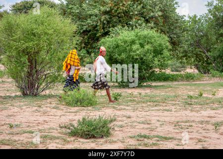 Donne africane Basarwa che camminano nel Bush, gente di San, villaggio tradizionale nel Kalahari Foto Stock