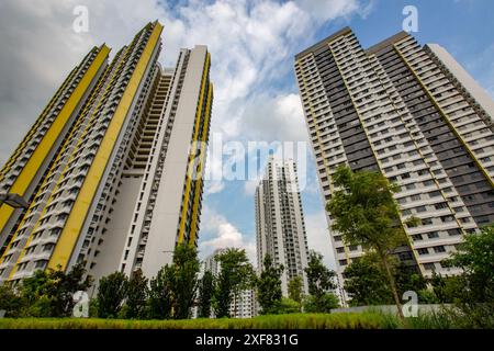 Vista sul giardino delle abitazioni pubbliche HDB. Alto edificio verticale che sale fino a quaranta piani per massimizzare lo spazio spaventoso della terra a Singapore. Foto Stock