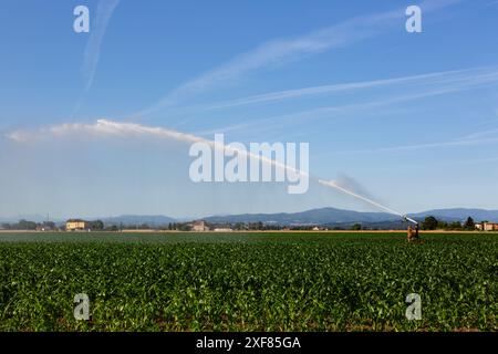 Impianto sprinkler per irrigare i terreni agricoli per mitigare gli effetti della siccità. Foto Stock