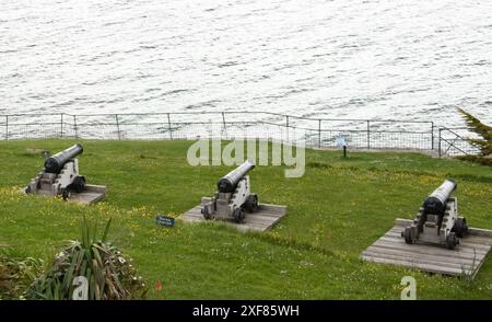 Cannoni, castello di St Mawes, St Mawes, Cornovaglia, Regno Unito - St Mawes è una popolare località turistica/turistica, una pittoresca città che contiene uno dei m di Enrico VIII Foto Stock