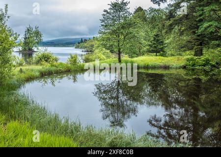 Geografia / viaggi, Gran Bretagna, Scozia, stagno nel parco di Ardanaiseig Castle Hotel sul Loch Awe, DIRITTI AGGIUNTIVI-AUTORIZZAZIONE-INFO-NON-DISPONIBILE Foto Stock