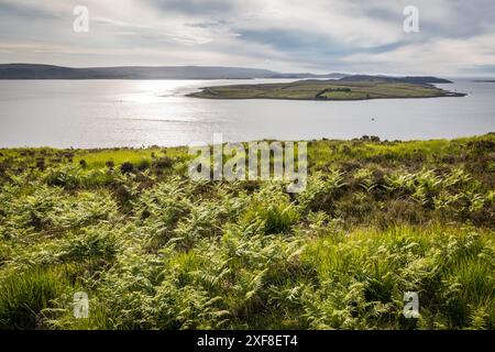 Geografia / viaggi, Gran Bretagna, Scozia, Isola di Ewe a Loch Ewe vicino a Drumchork, Wester Ross, ULTERIORI-DIRITTI-AUTORIZZAZIONE-INFO-NON-DISPONIBILI Foto Stock