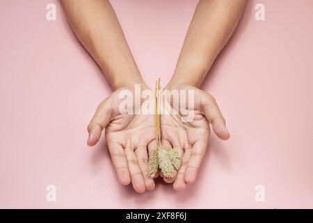 Tenendo con tenerezza un piccolo bouquet di fiori secchi, le mani aperte trasmettono pace e speranza su uno sfondo rosa. Ideale per vari progetti con spazio per te Foto Stock