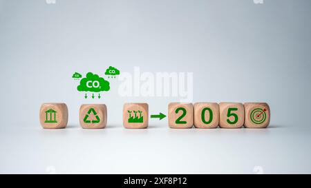 Zero netto entro il 2050, blocco di legno con simbolo di credito al carbonio nel 2050 su sfondo bianco, neutro al carbonio, obiettivo di emissioni di gas serra netto zero, clima Foto Stock