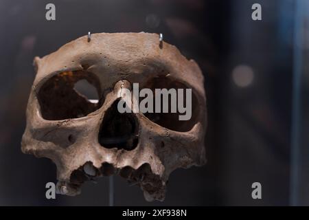 Infantile splanchnocranium, homo sapiens, Lower Magdalenian, El Pendo, Escobedo, Camargo, Museo di preistoria e archeologia (MUPAC), Santander, CAN Foto Stock