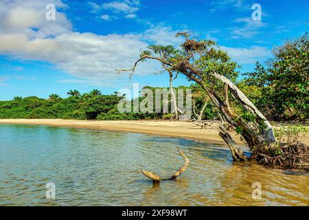 Spiaggia deserta e selvaggia a Serra grande sulla costa meridionale dello stato di Bahia, spiaggia di Sargi, Serra grande, Bahia, b Foto Stock