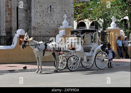 Carrozza trainata da cavalli, Plaza Mayor, Merida, Yucatan, Messico, America centrale, storica carrozza trainata da cavalli su una strada della città di fronte a un vecchio Foto Stock