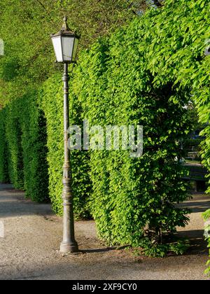 Un sentiero giardino fiancheggiato da lanterne corre lungo siepi verdi ben curate al sole, treviri, germania Foto Stock