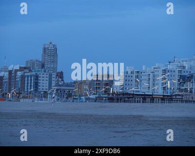 Grattacieli e vari edifici sulla spiaggia di notte, illuminati sotto un cielo blu, scheveningen, paesi bassi Foto Stock