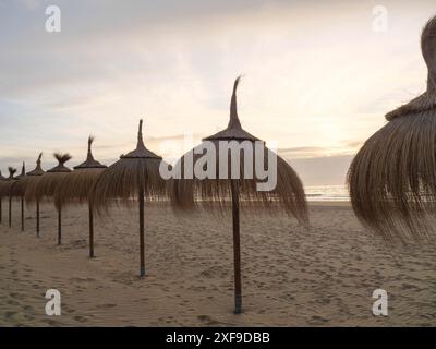 Diversi ombrelloni sulla spiaggia, sotto un cielo calmo al tramonto, scheveningen, paesi bassi Foto Stock