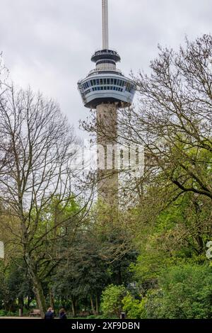 Un'alta torre televisiva sorge sopra un parco verde con alberi in fiore, Rotterdam, Paesi Bassi Foto Stock