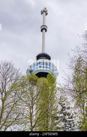 L'alta torre televisiva sorge sopra gli alberi sotto un cielo leggermente nuvoloso, Rotterdam, Paesi Bassi Foto Stock