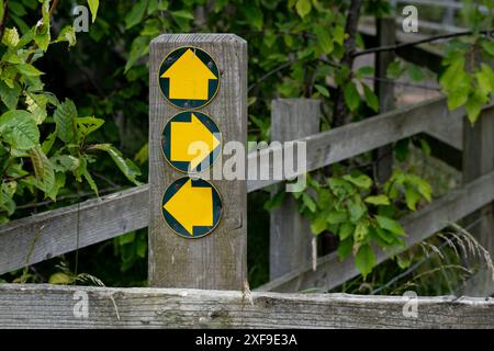 Frecce gialle per sentieri pubblici, Warwickshire, Inghilterra, Regno Unito Foto Stock