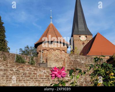Chiesa storica con una suggestiva torre e tetto rosso, giardino e fiori in primo piano, Kandel, Palatinato, Germania Foto Stock
