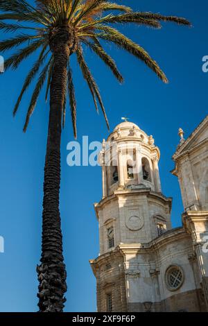 Cattedrale di Cadice, Andalusia, Spagna Foto Stock