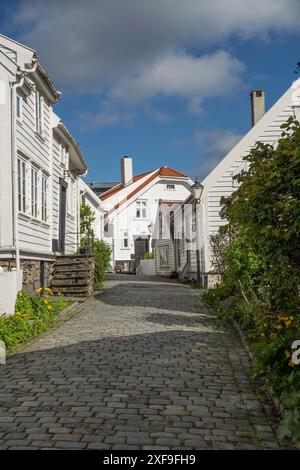 Una strada acciottolata conduce tra case di legno bianche sotto un cielo blu, stavanger, norvegia Foto Stock