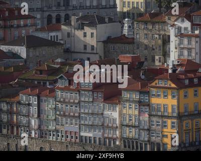 Vista di vecchi edifici densamente pieni con tetti piastrellati e molte finestre, porto, portogallo Foto Stock