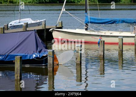 Barche a vela e piccole imbarcazioni ormeggiate su un molo di legno su un lago calmo, Borken, vestfalia, germania Foto Stock