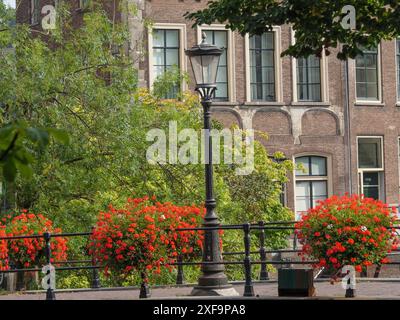 Lampioni e fiori fioriti di fronte a un edificio in mattoni con alberi verdi dietro, utrecht, paesi bassi Foto Stock