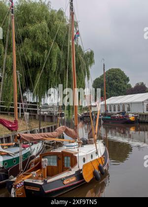 Diverse barche e barche a vela sono ormeggiate in un piccolo porto, circondato da verde natura e alberi, carolinensiel, germania Foto Stock