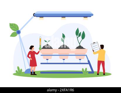 Ecoagricoltura, coltivazione di piante agricole utilizzando la tecnologia del sistema idroponico. Le persone più piccole coltivano germogli verdi in vaso sotto la luce della lampada, controllano la temperatura con l'illustrazione del vettore cartoon del termometro Illustrazione Vettoriale